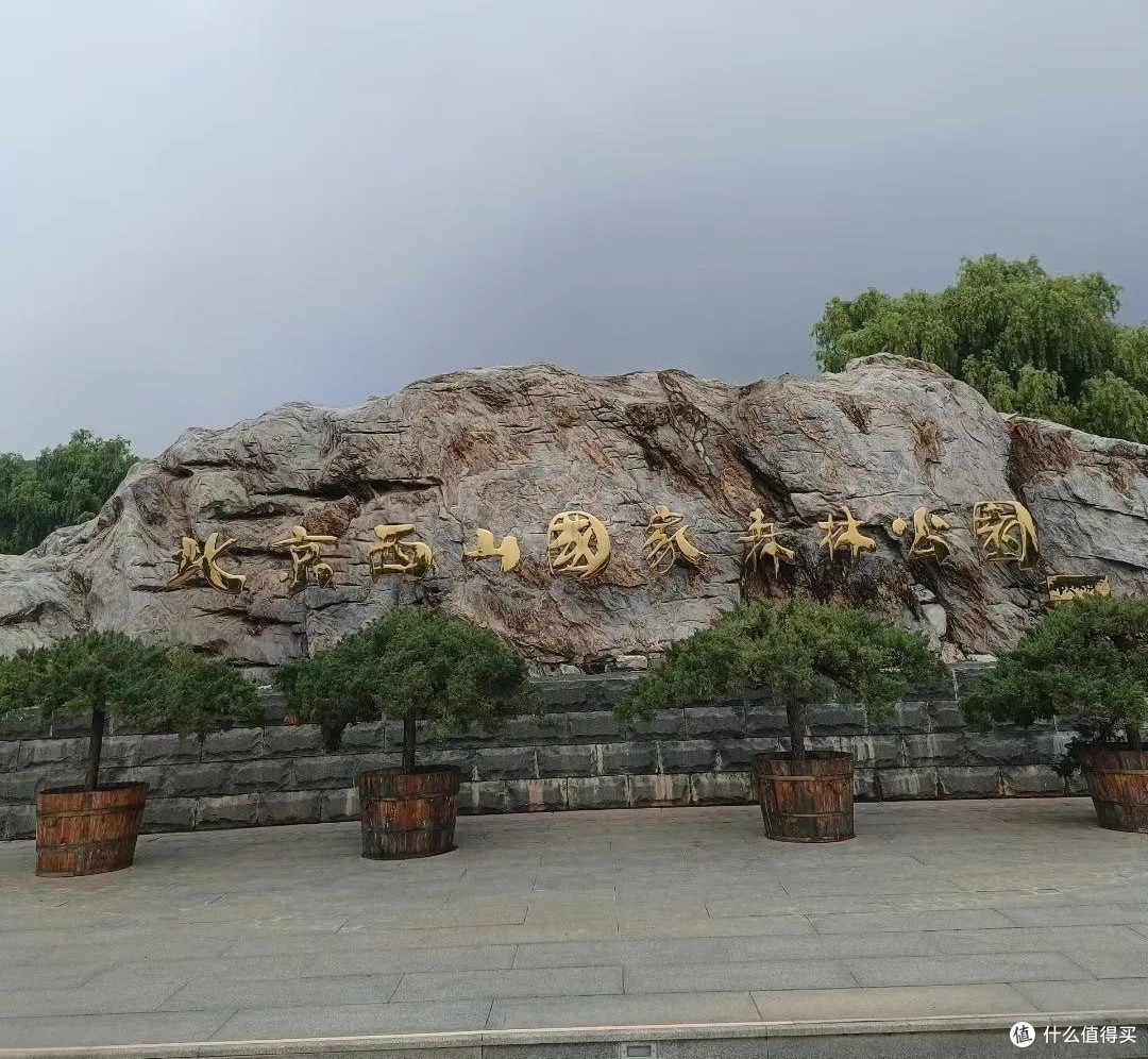 周末带娃游北京西山国家森林公园:一场与自然的轻松邂逅