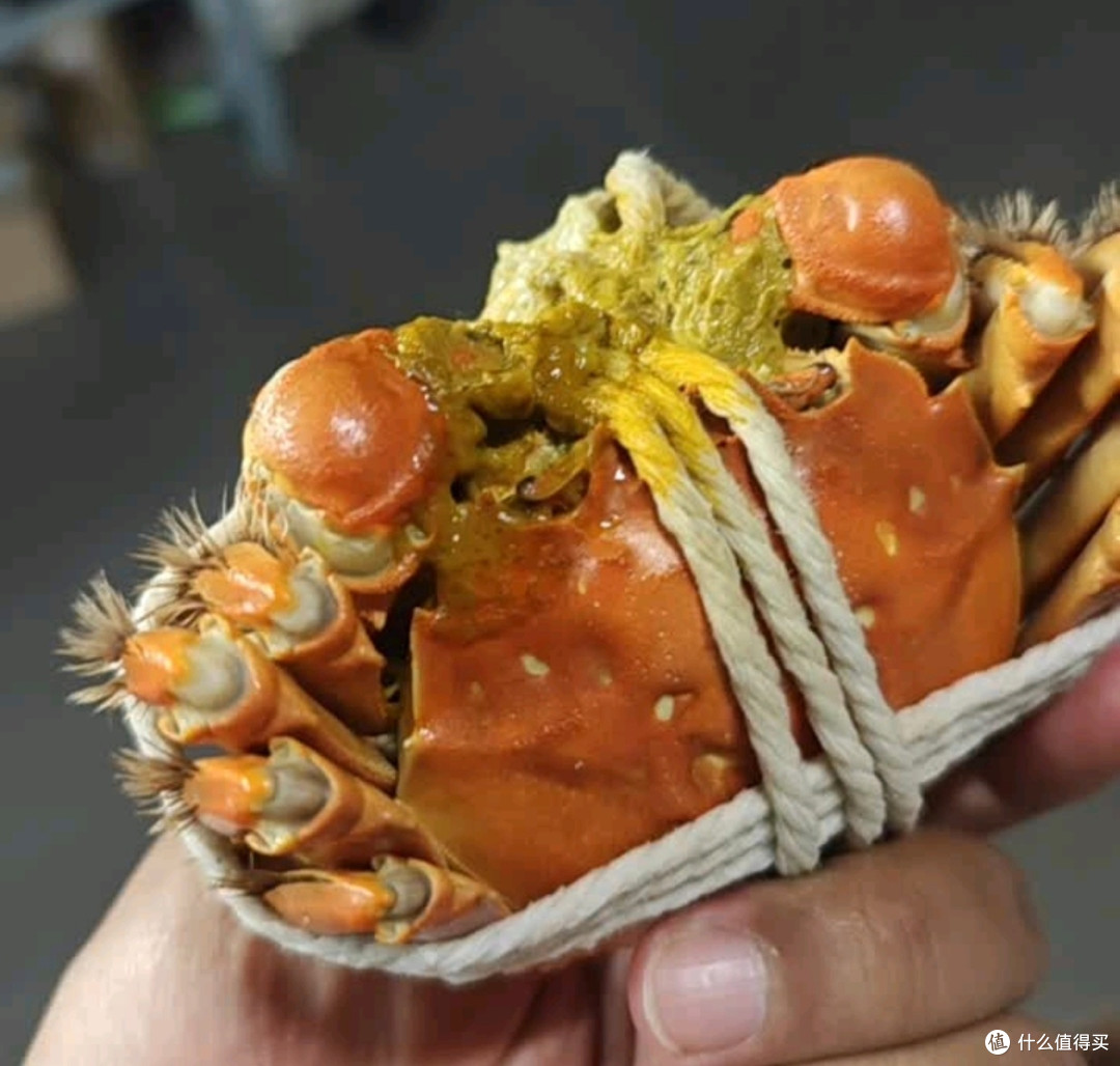 秋日蟹香正浓，神行全母大闸蟹成了我的中秋餐桌C位