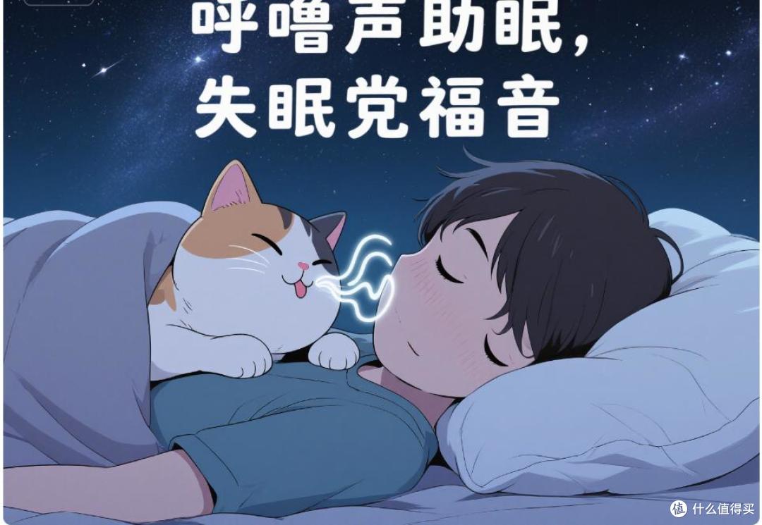 猫咪上床睡觉“很脏”?兽医拆穿真相!