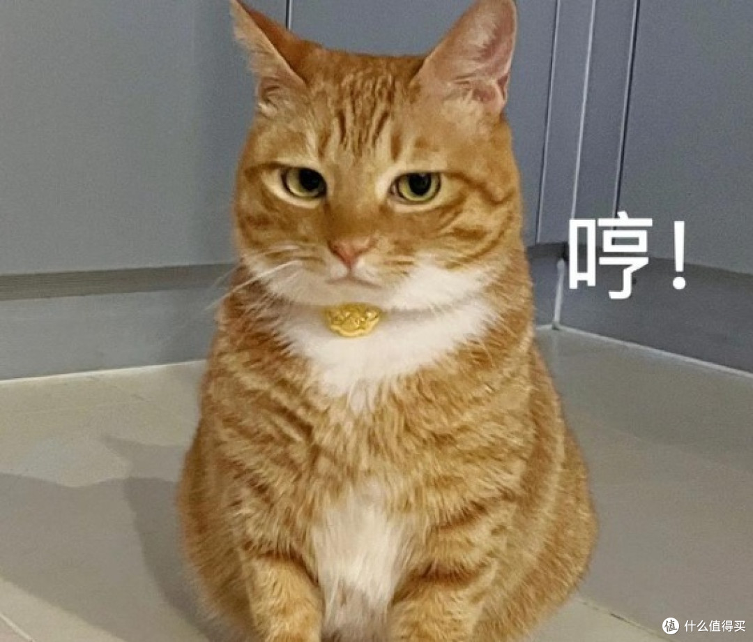 宠物空气净化器选购前必看!宠物空气净化器是智商税吗?
