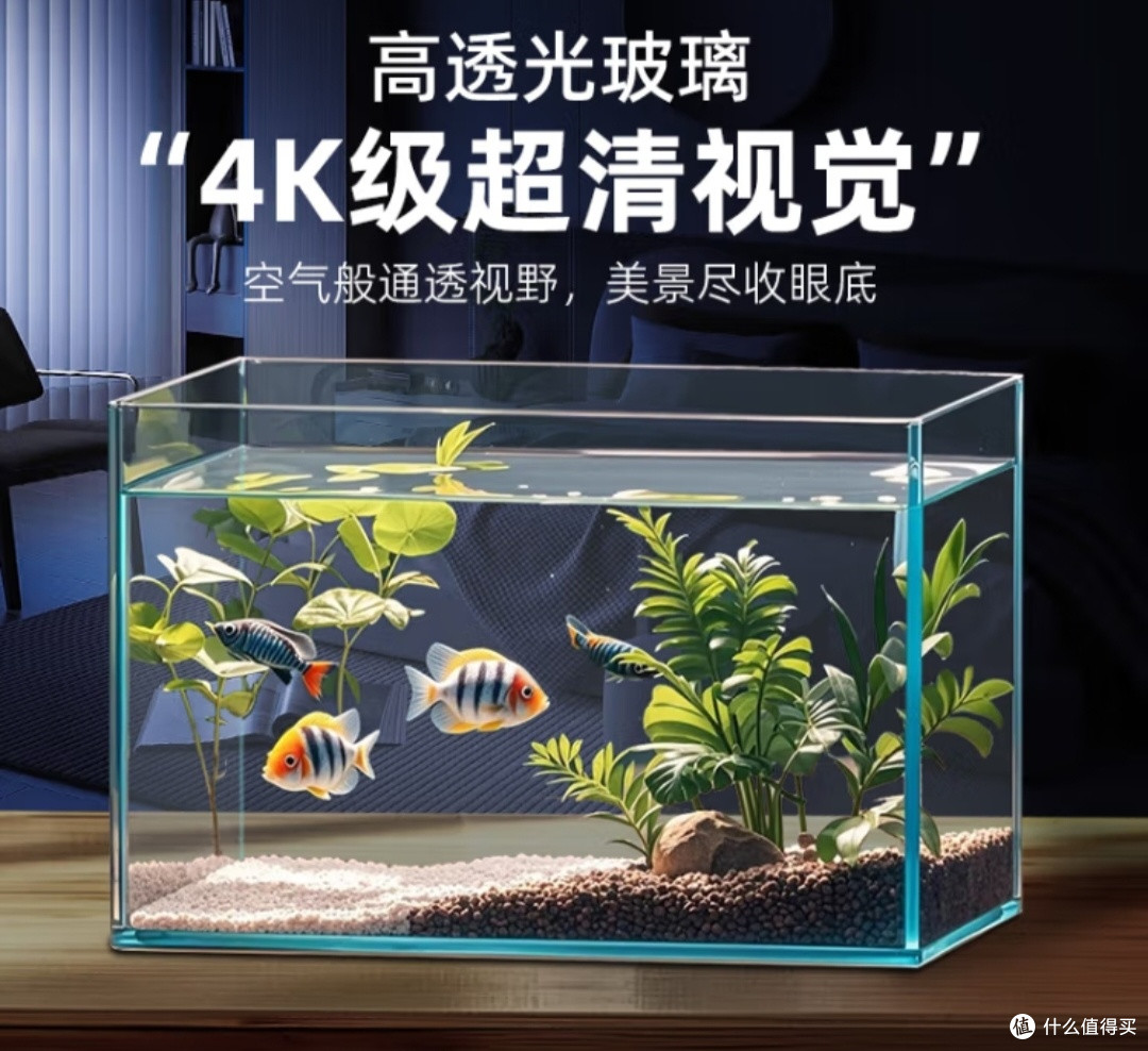 我的客厅小治愈：坤宁王金晶超白玻璃鱼缸太惊艳