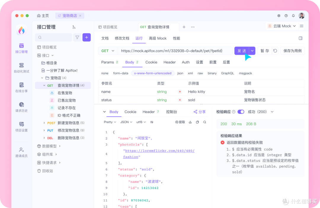 Apifox 功能展示