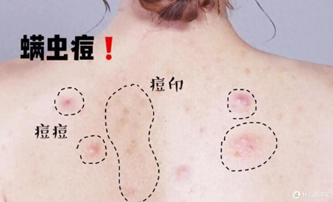 双11想入手一台除螨仪,有什么品牌推荐嘛?