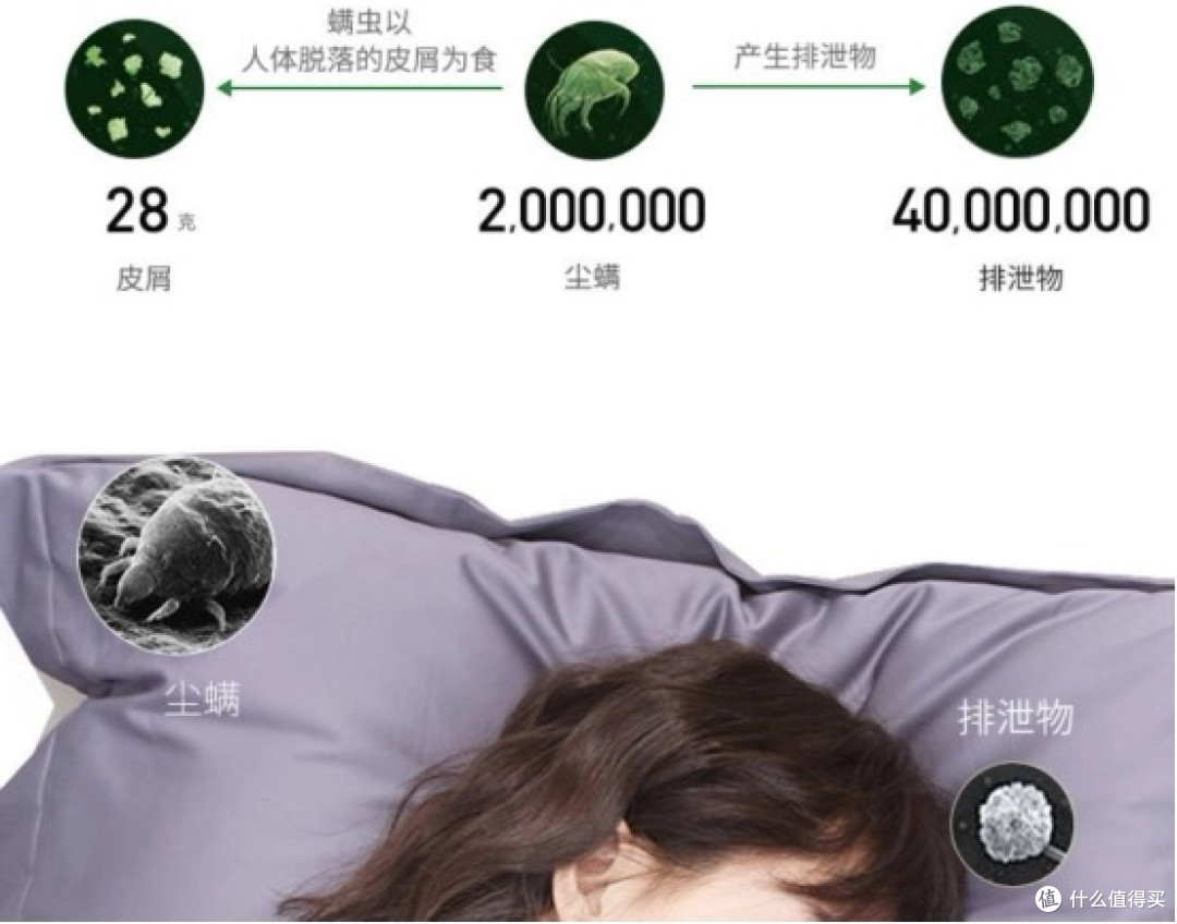 双11想入手一台除螨仪,有什么品牌推荐嘛?