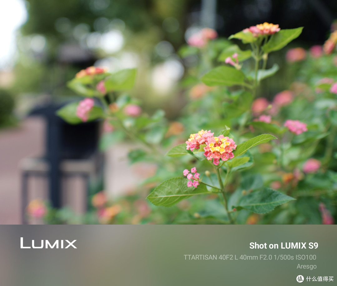 给LUMIX S9找个挂机镜头不容易——铭匠40mm/F2使用分享