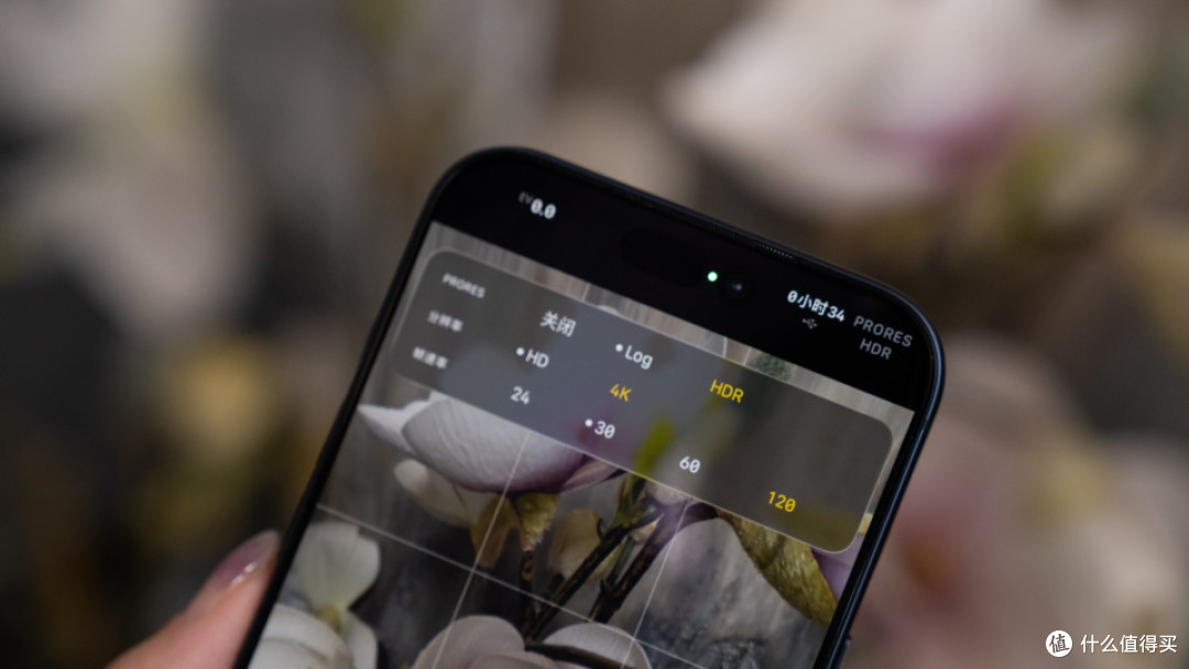 iPhone扩容的超值方案来了!闪迪创作者磁吸移动固态硬盘真香体验