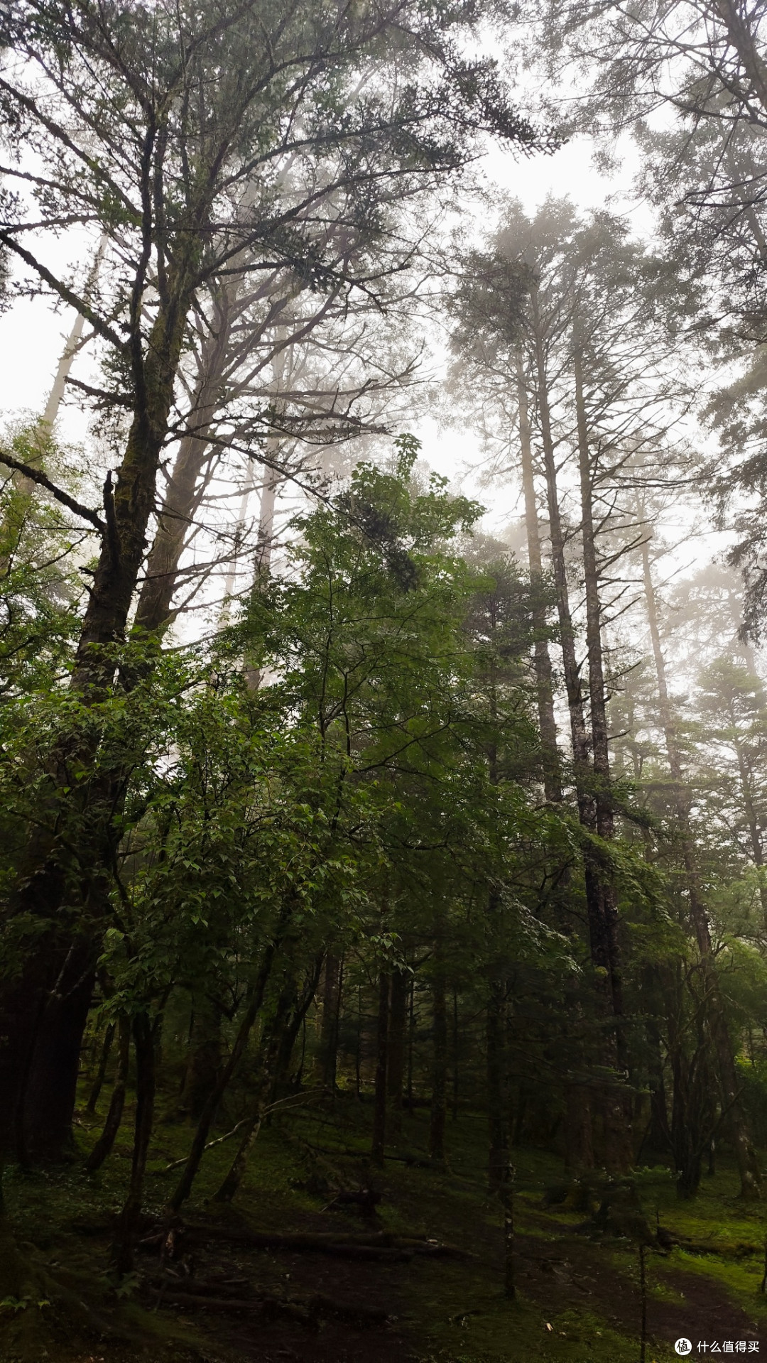 高黎贡山硬核玩家全攻略