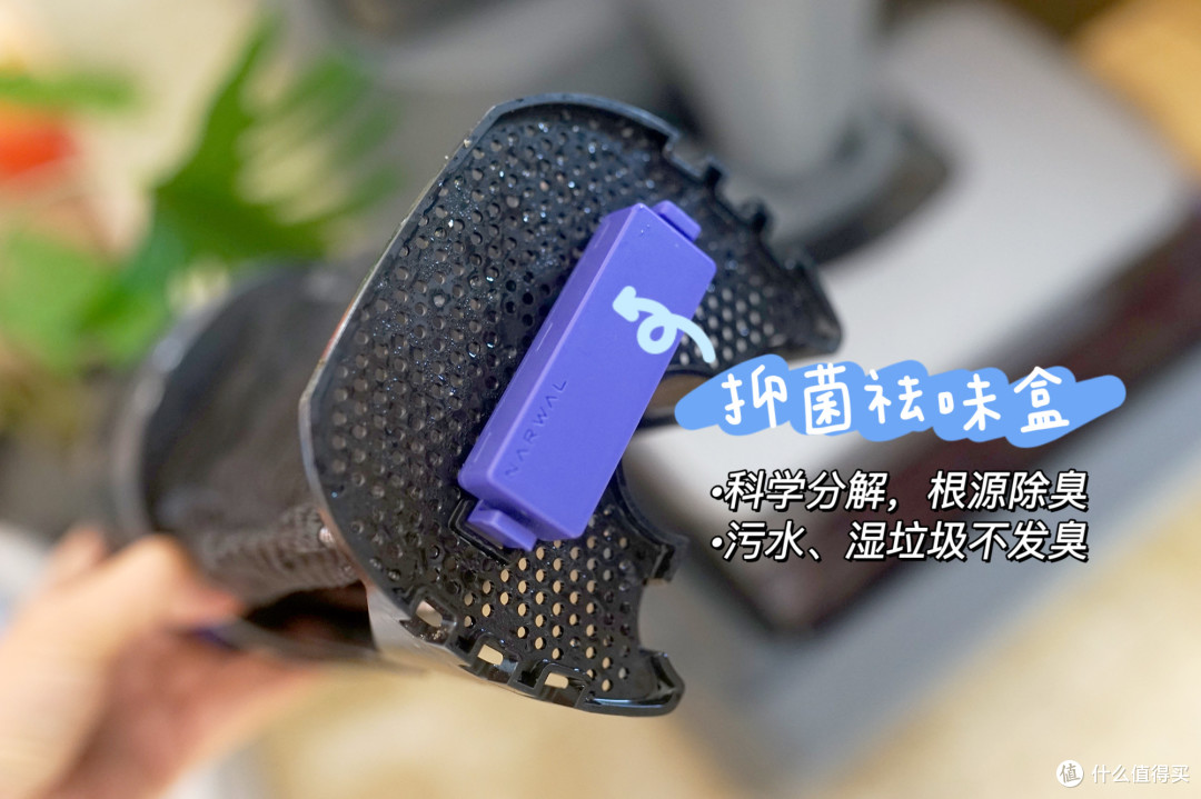 云鲸S3 Max Island｜80℃热水洗地，满足有娃家庭的“苛刻级需求”
