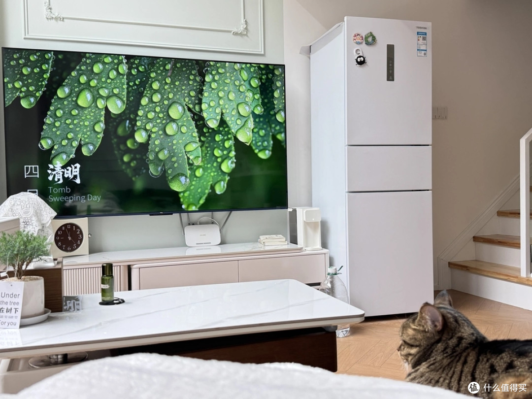 霸屏75英寸144Hz!TCL这款电视让我家客厅开挂了
