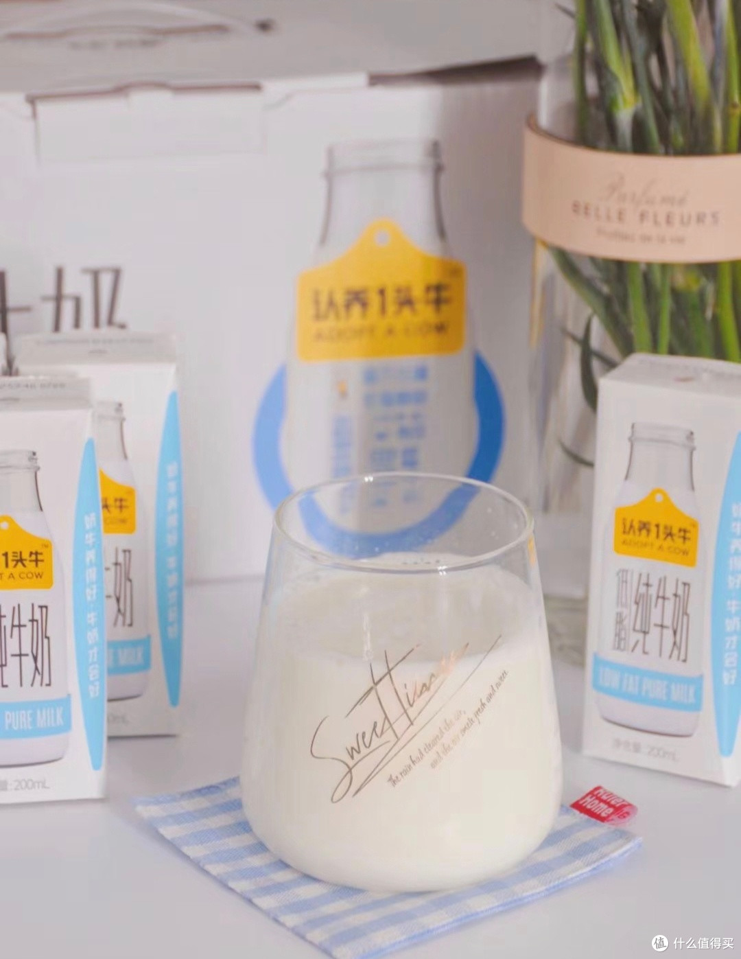 一杯低脂奶里的阳光与匠心,你的健身好搭子!