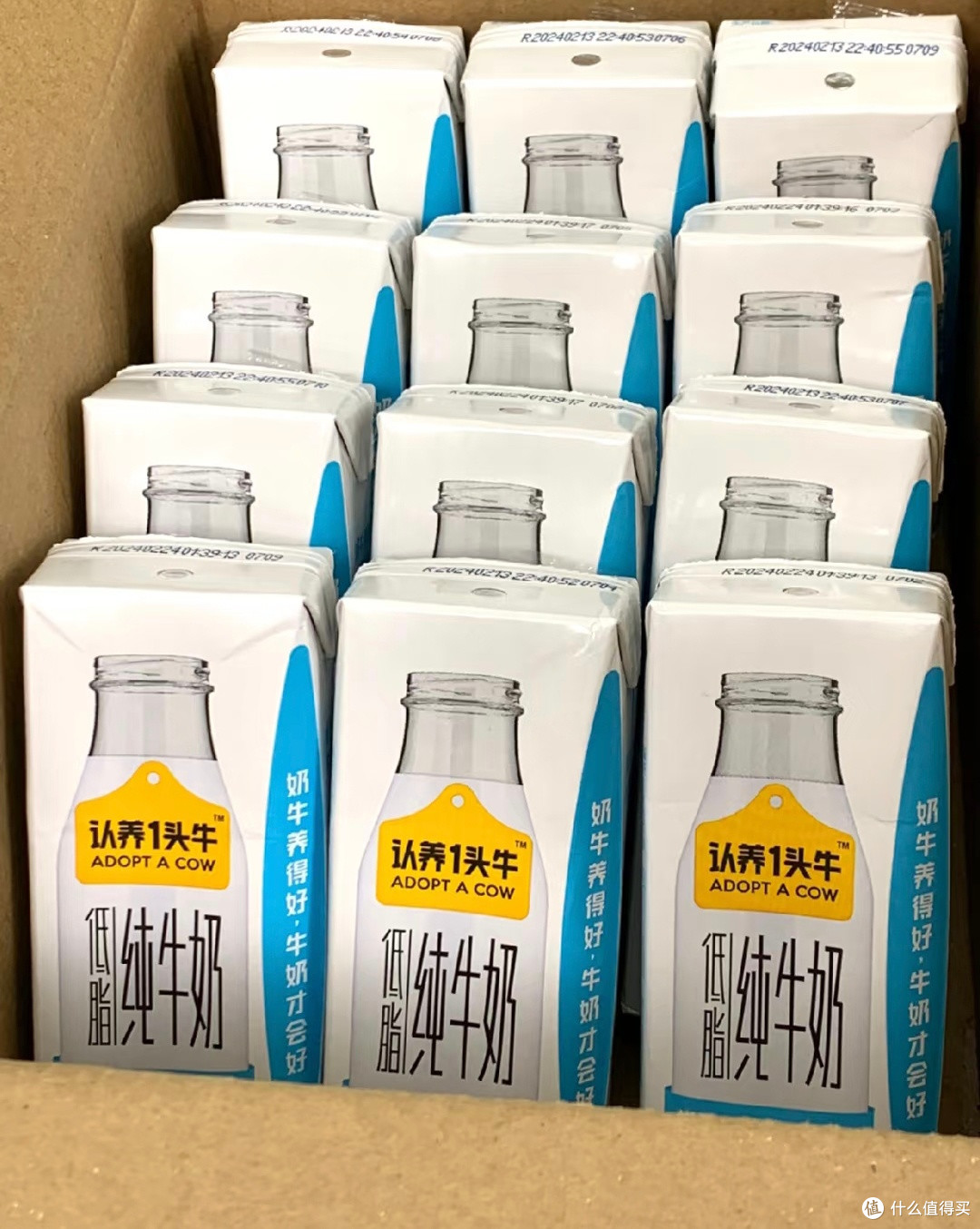 一杯低脂奶里的阳光与匠心,你的健身好搭子!