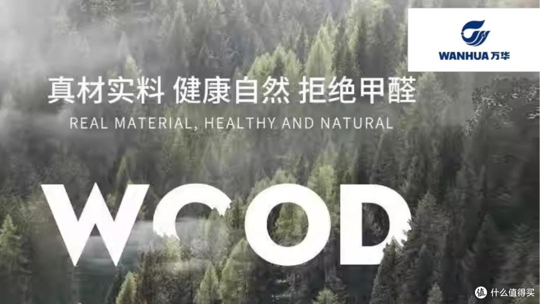 热销ENF级板材有哪些?2025年板材行业十大品牌推荐!
