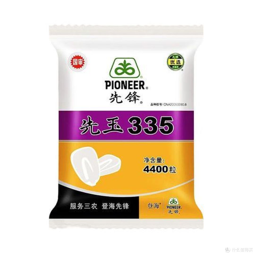 十大玉米品种排行前十名，谁是最佳选择？