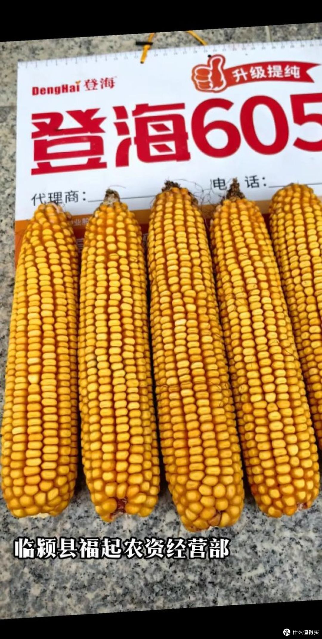 十大玉米品种排行前十名，谁是最佳选择？