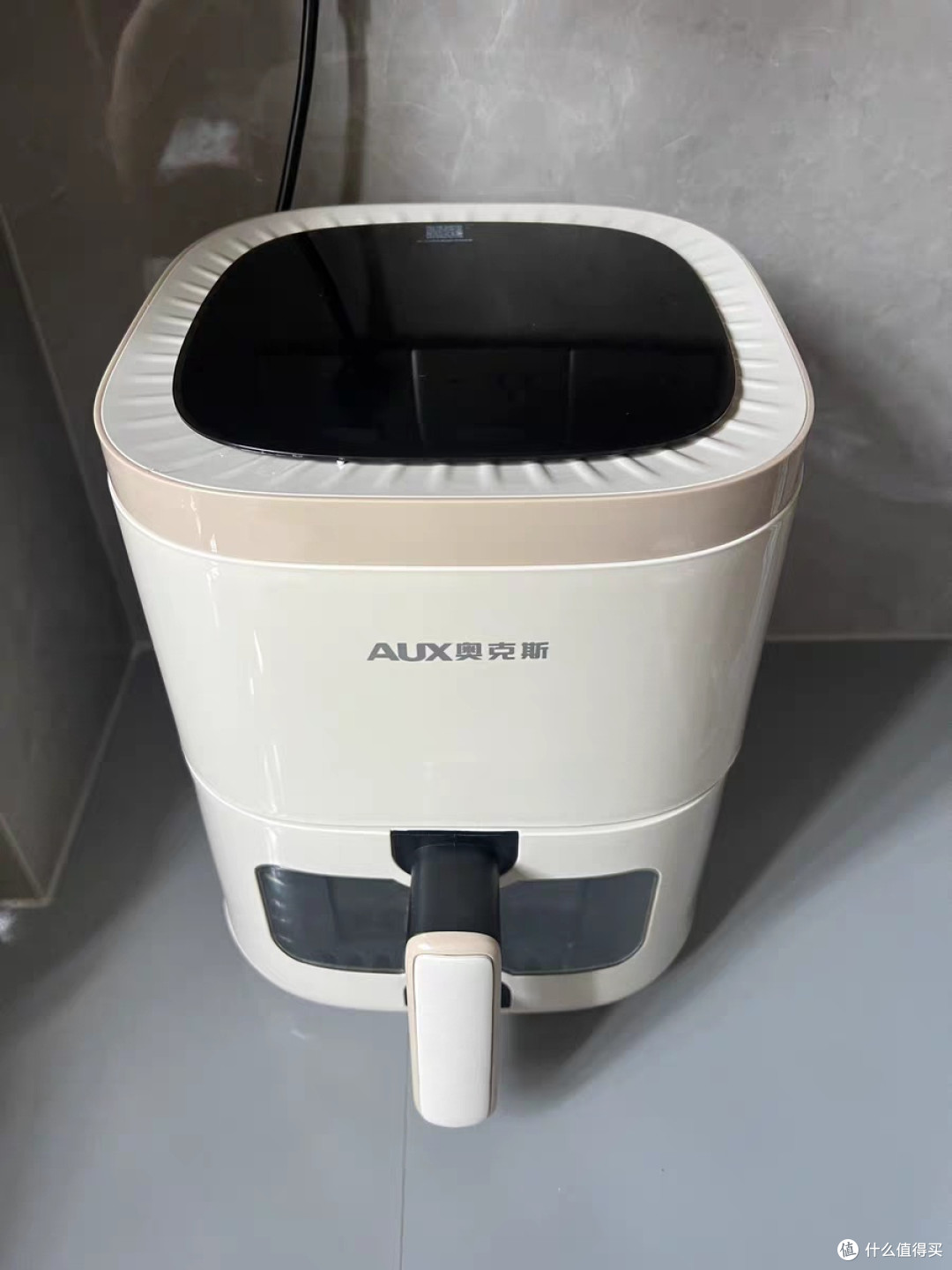米家空气炸锅:实用与性价比