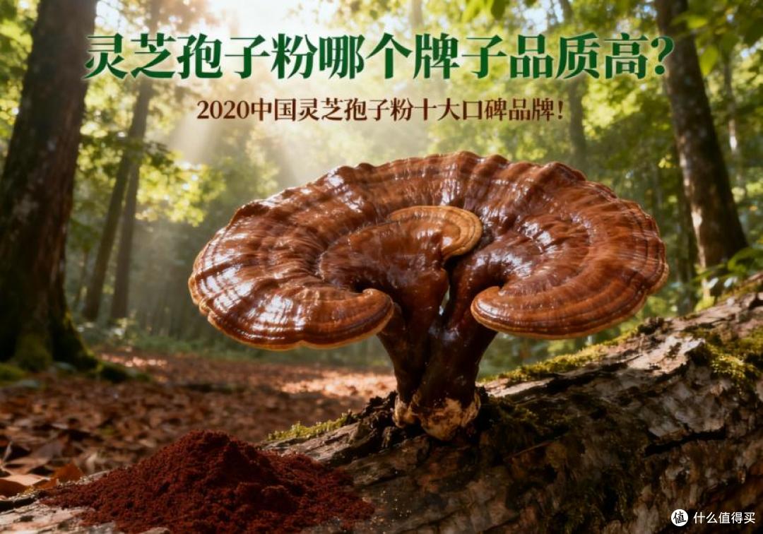 灵芝孢子粉哪个牌子品质高?灵芝孢子粉十大口碑品牌!用着超放心