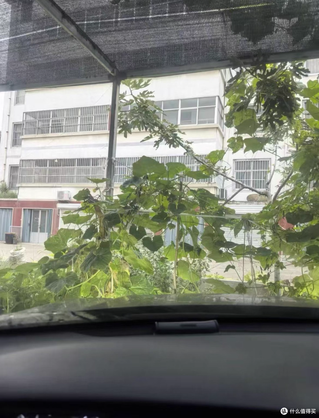 双 11 汽车好物|伍尔特无骨雨刮器,这样买静音又省钱