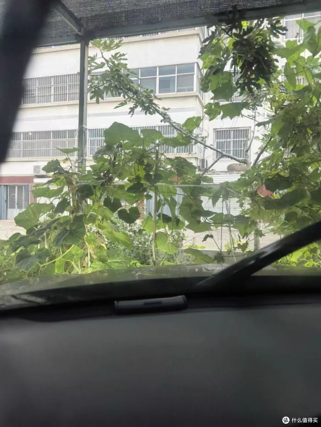 双 11 汽车好物|伍尔特无骨雨刮器,这样买静音又省钱