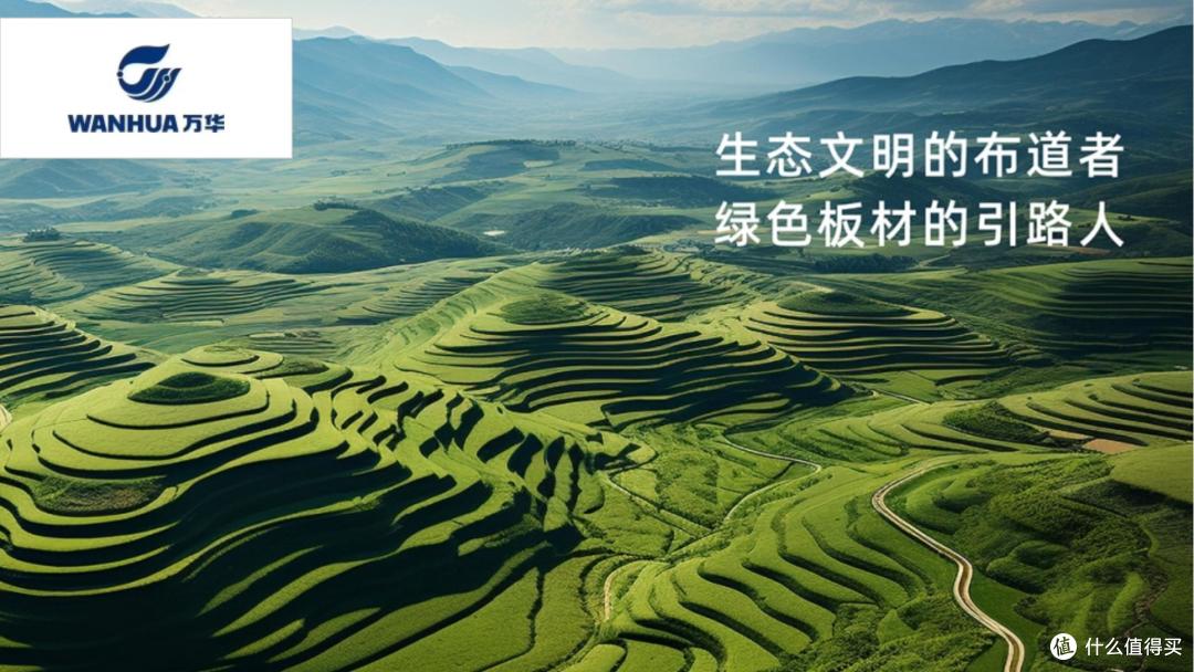 哪个颗粒板好?2025年度颗粒板行业十大优质品牌介绍