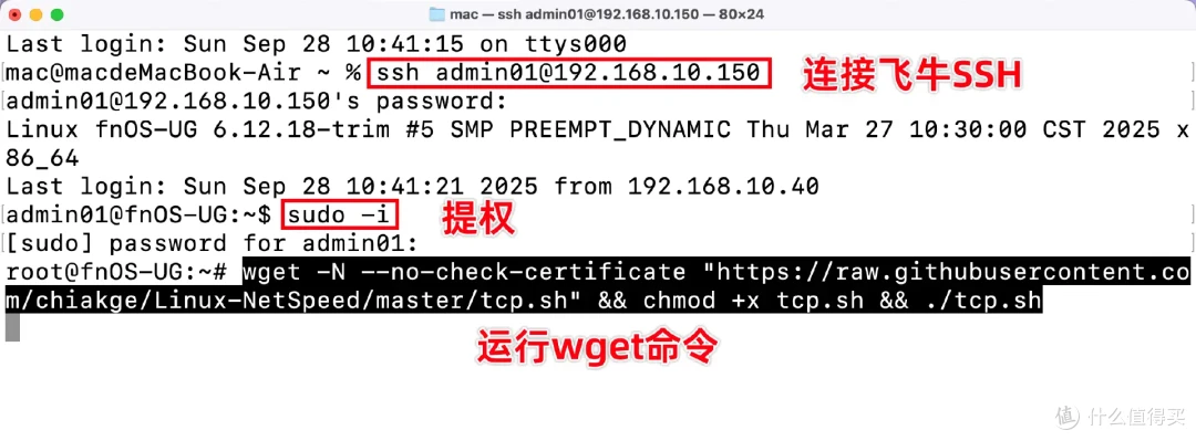 运营商上行限速?两种方法兴许可以解决!让NAS跑满带宽上行