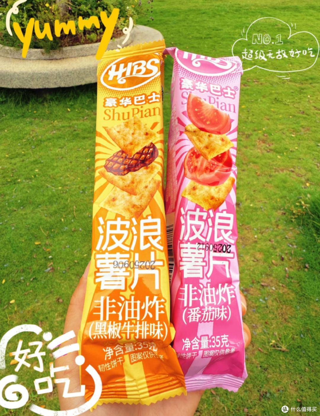 奢华之味,简约之美:与豪华巴士共赴一场波浪薯片的酥脆旅程