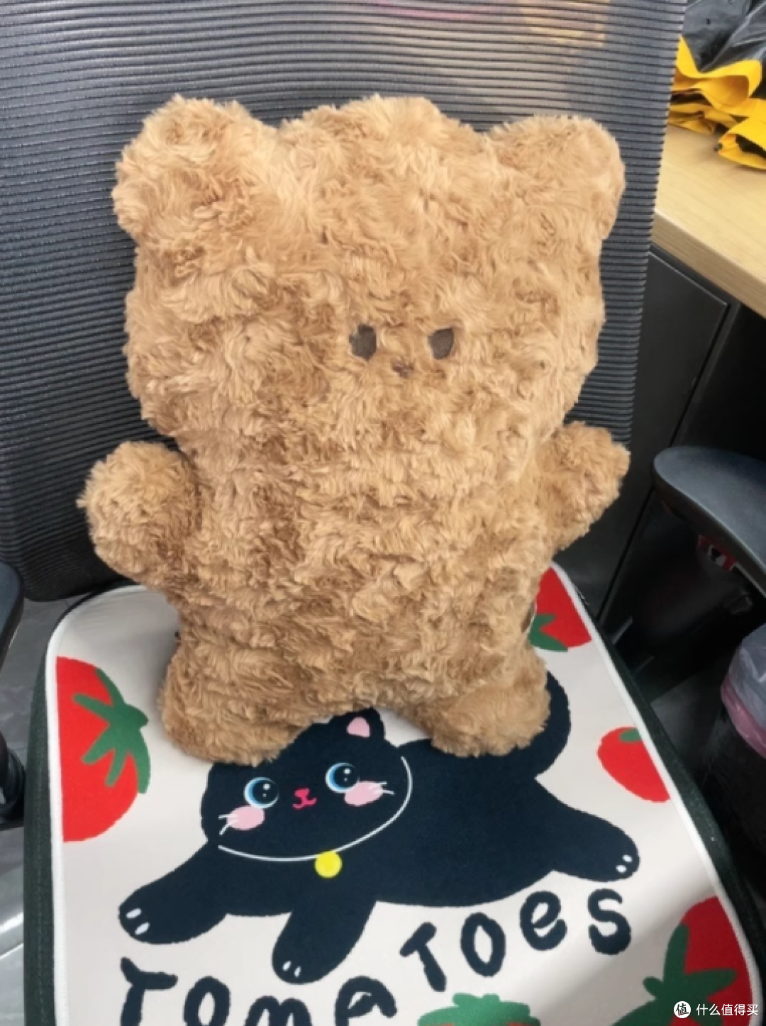 MINISO 双子抱枕封神!50cm 小熊小狗把治愈感抱满怀🐻🐶