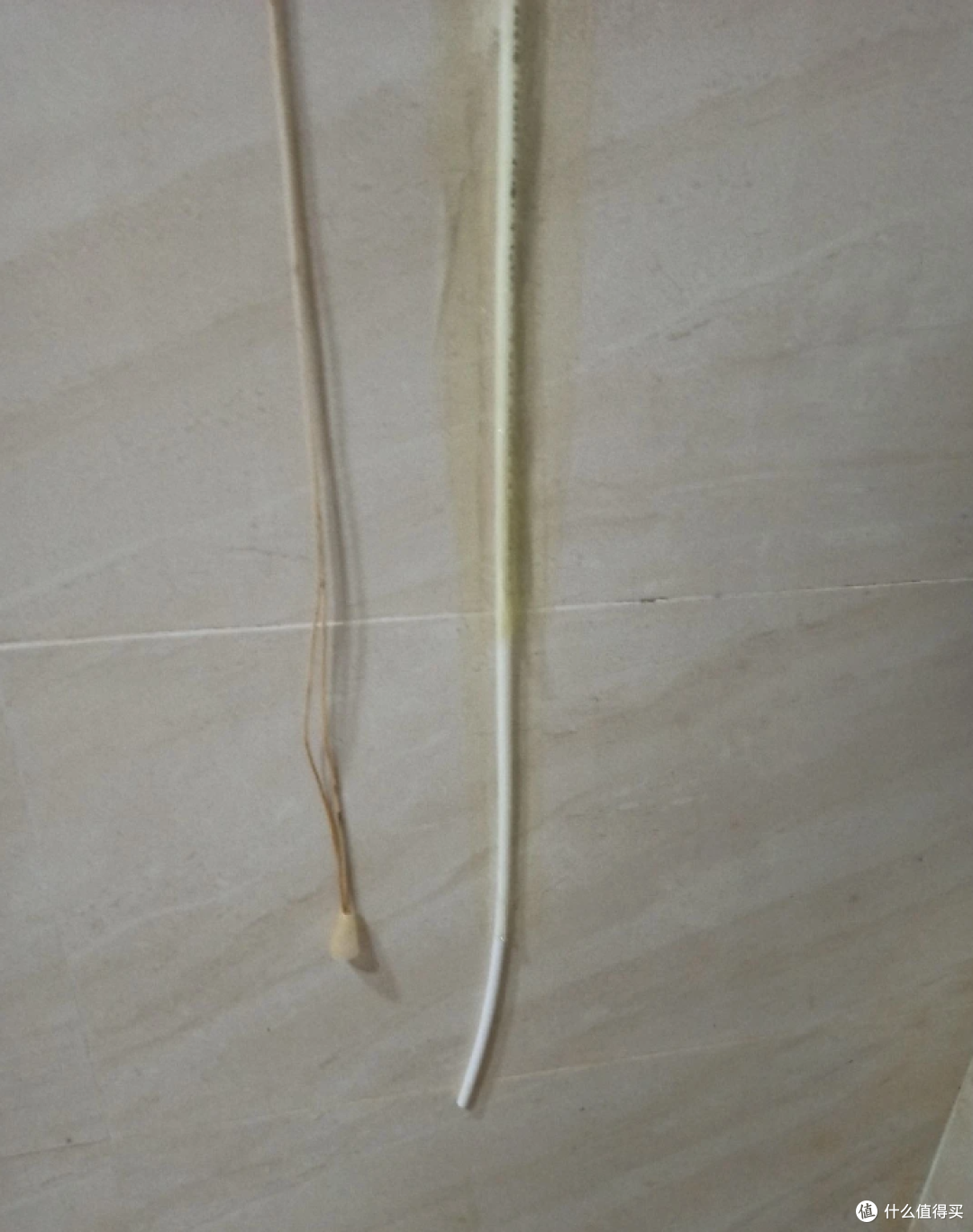 别瞎买废水桶!泡茶净水器折腾史:选对容量省麻烦,TDS10 泡茶香