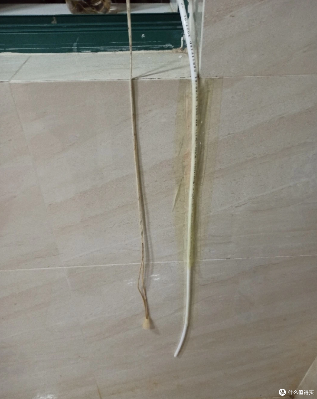 别瞎买废水桶!泡茶净水器折腾史:选对容量省麻烦,TDS10 泡茶香
