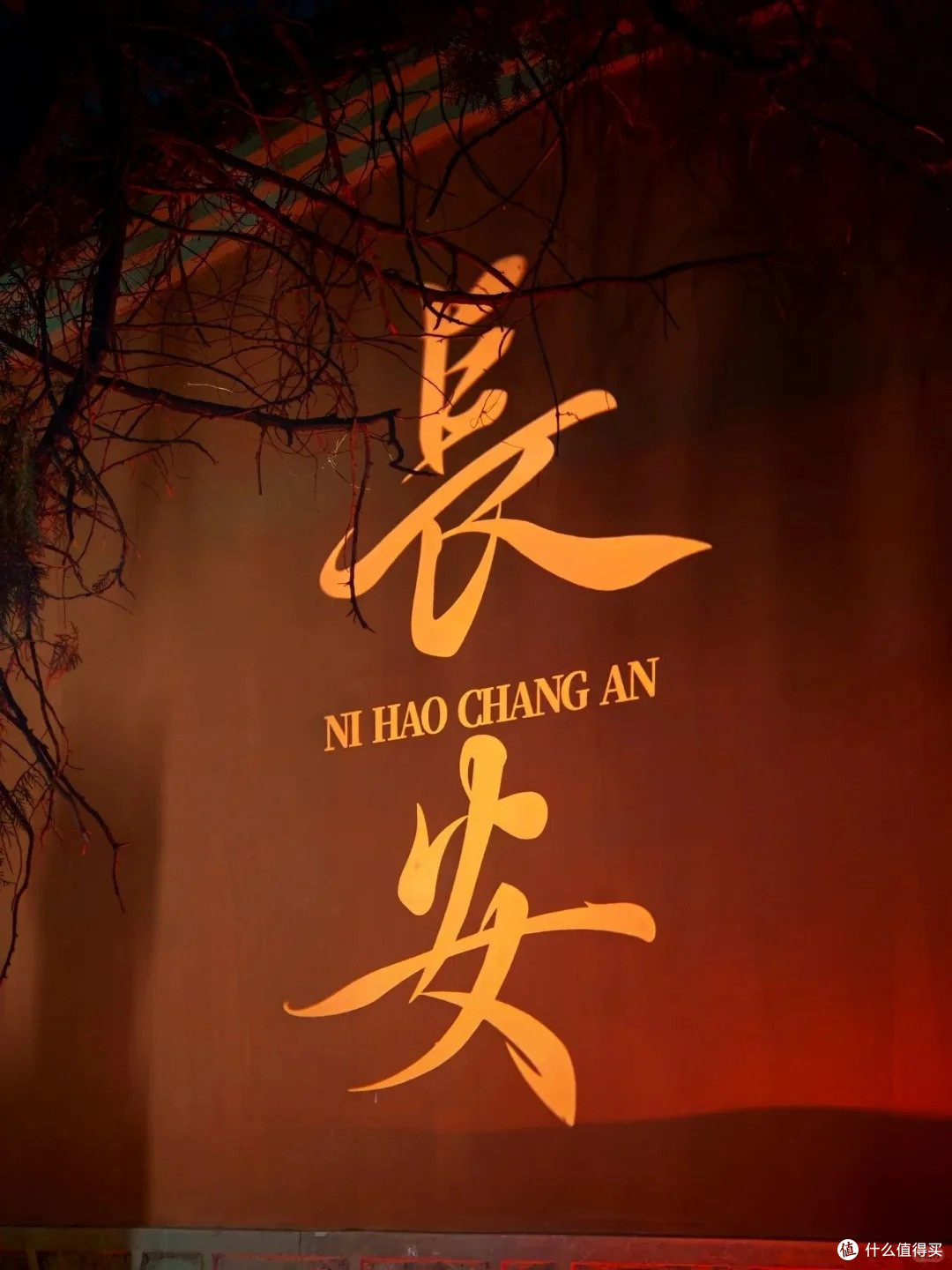 恋爱脑版全国环线游