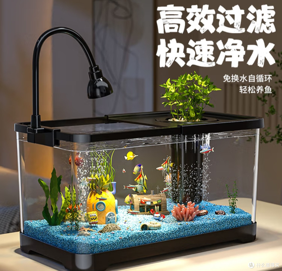 我的“懒人友好型”鱼缸：阔庭一体缸让养鱼变轻松