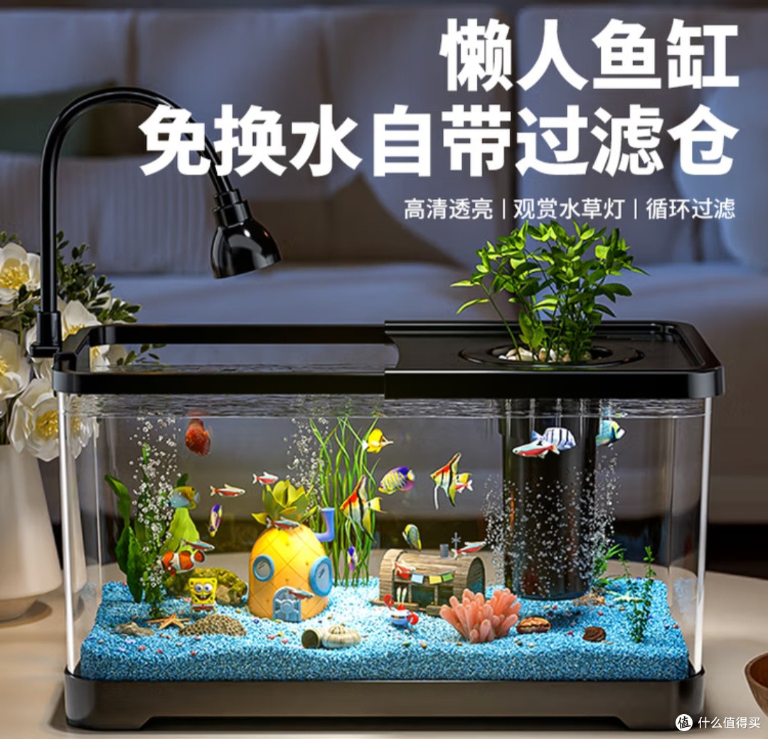 我的“懒人友好型”鱼缸：阔庭一体缸让养鱼变轻松