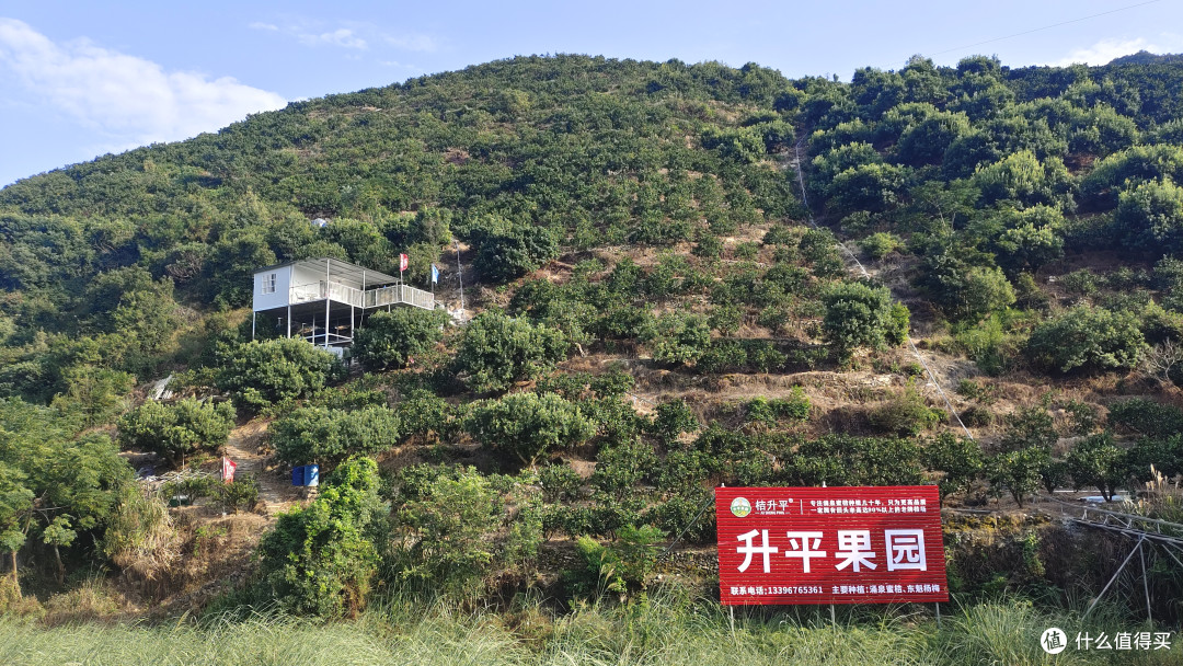 涌泉蜜桔核心产区——升平果园
