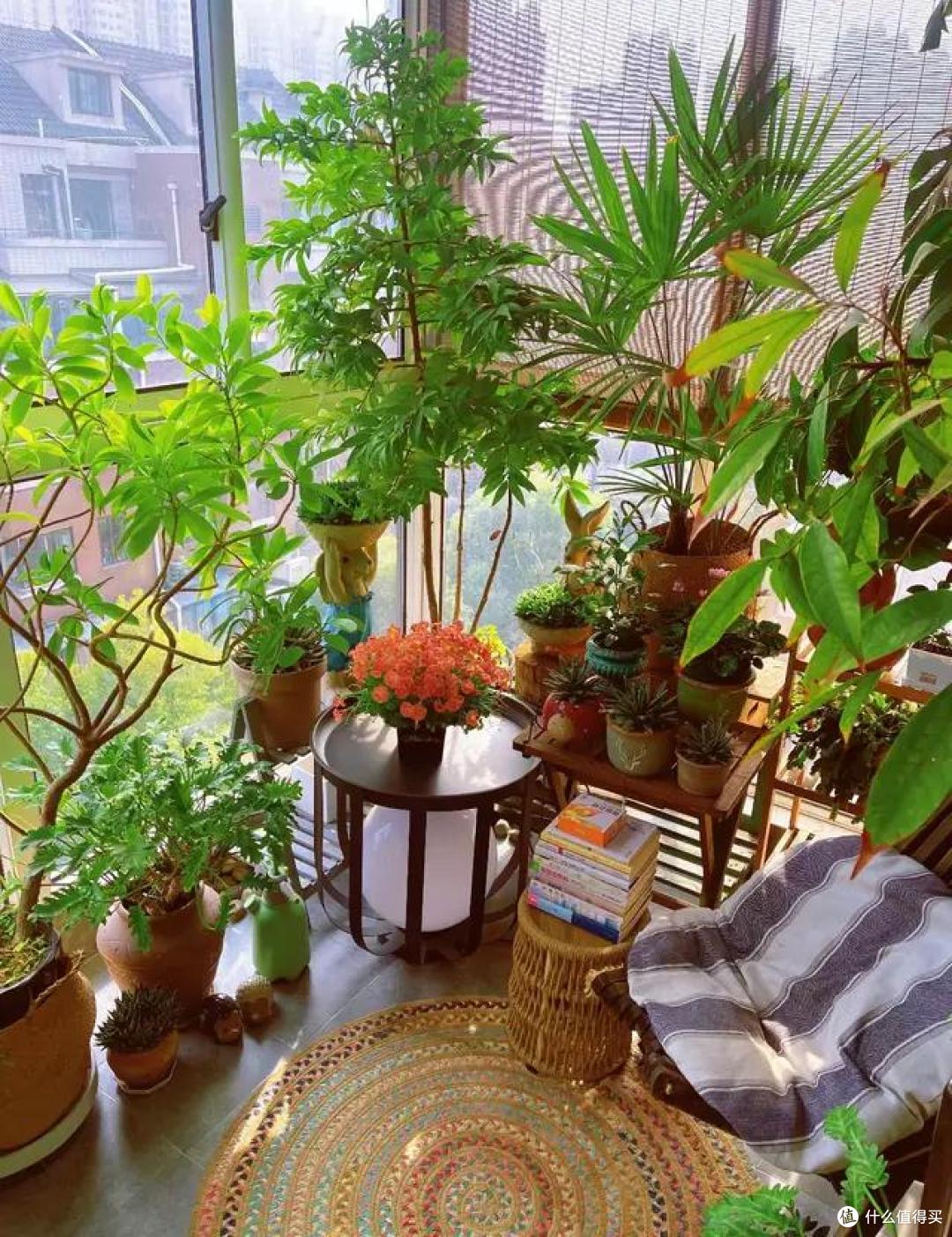 阳台不要晾衣服了，学一下“江苏人的方法”，满满当当，真高级