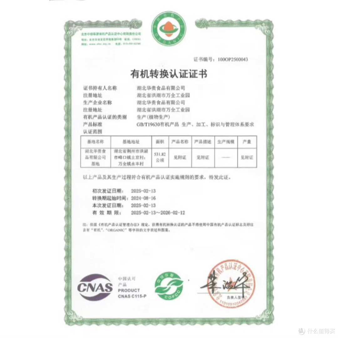 秋天，秋藕炖排骨安排