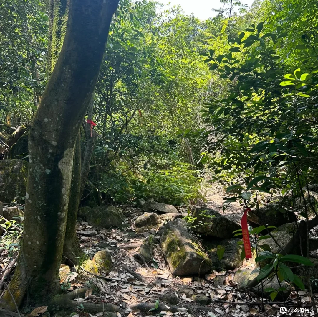 跑了一大圈回来发现:旅行带上这些,真的会很爽!