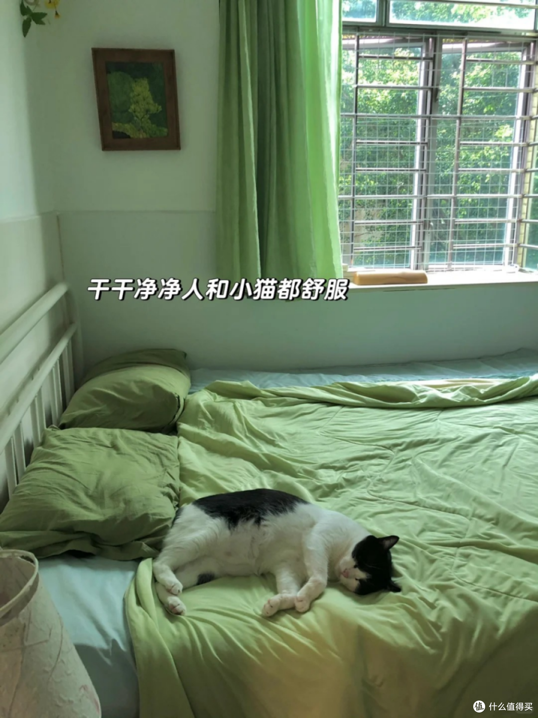 养宠家庭除螨不踩坑!解决猫毛缠绕 + 深层除螨,选对品牌是关键