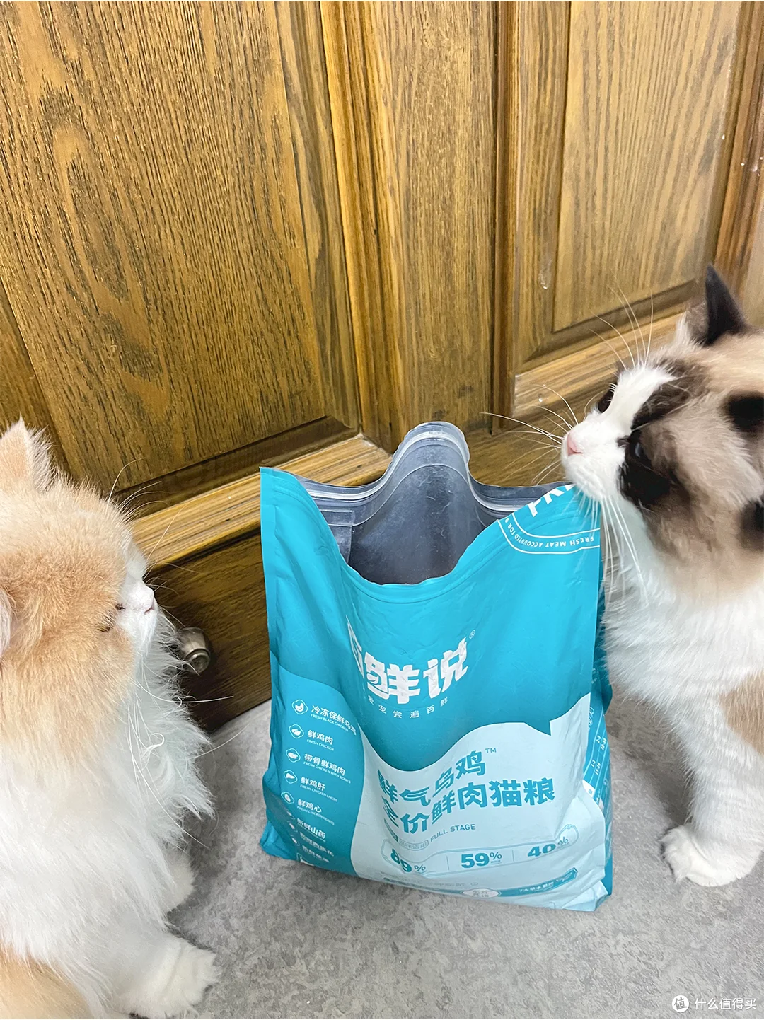 拒绝 “赌” 猫粮!2025 年权威认证的 10 款猫咪安心粮