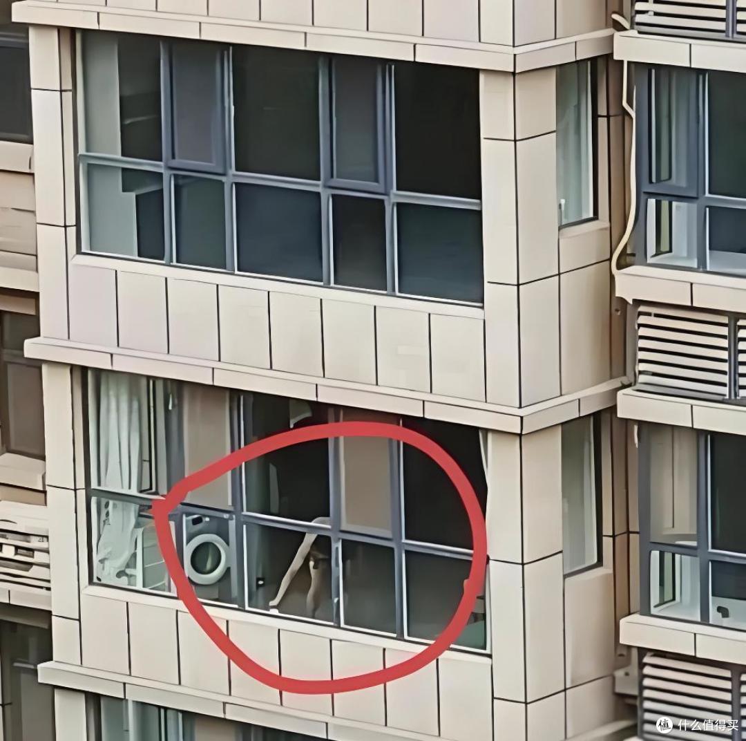 从30楼搬到2楼后,我有些话不吐不快,居住差别简直天差地别!