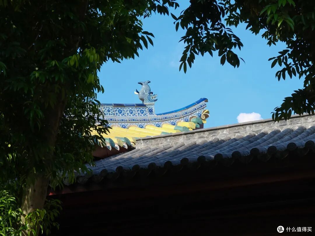 高速会堵车,景点会堵人,连沙漠都会堵骆驼,国庆还可以怎么玩?