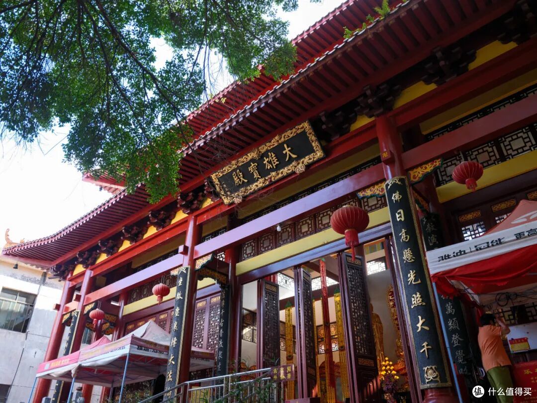 高速会堵车,景点会堵人,连沙漠都会堵骆驼,国庆还可以怎么玩?