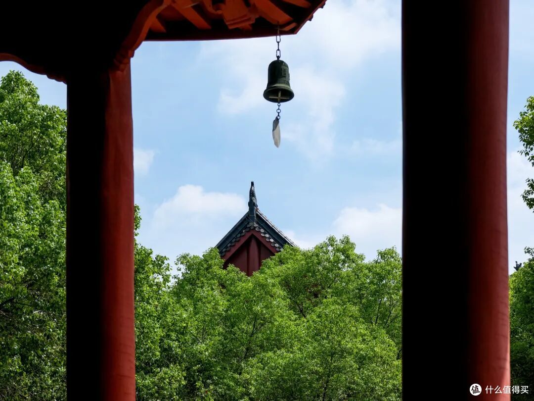 在这个征服全国食客味蕾的城市,吃到七步一晕碳是什么体验?