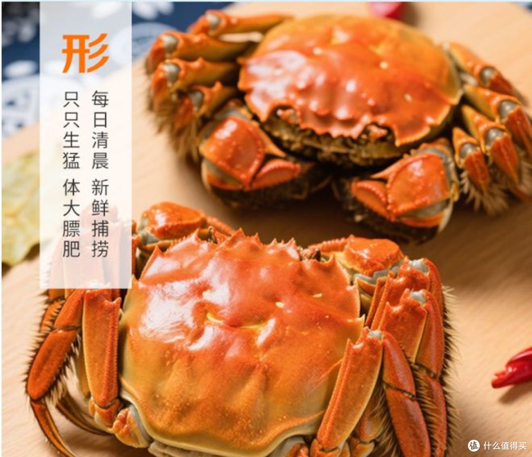 中秋礼盒:新鲜大闸蟹现货,8只全母蟹等你品尝!