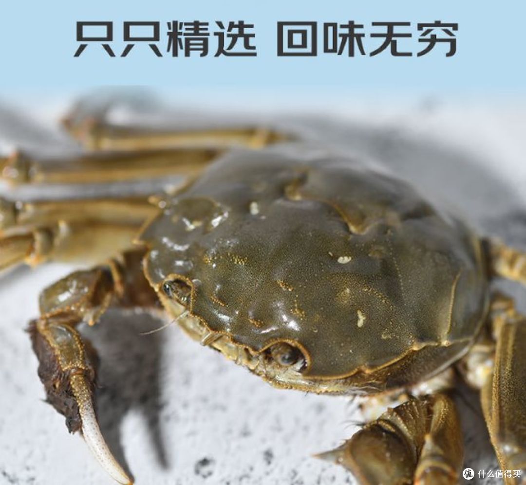 中秋礼盒:新鲜大闸蟹现货,8只全母蟹等你品尝!