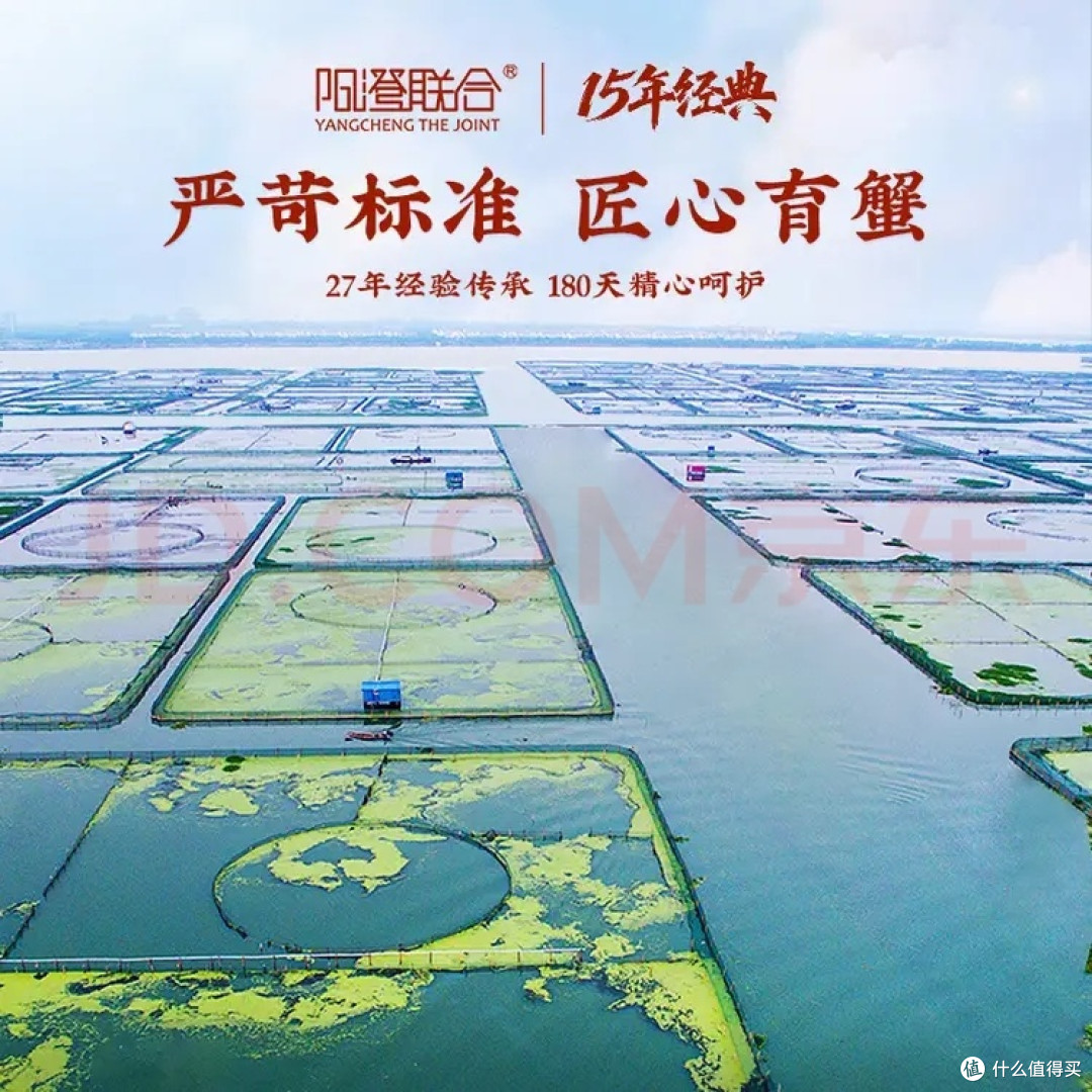 阳澄湖开湖首尝大闸蟹