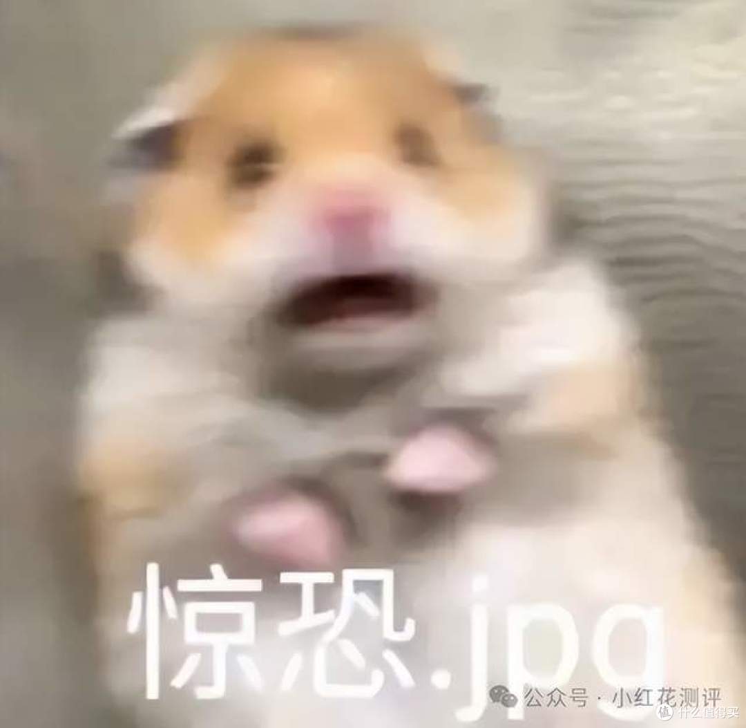99个孩子中毒!「元凶」是它!孩子们很喜欢吃