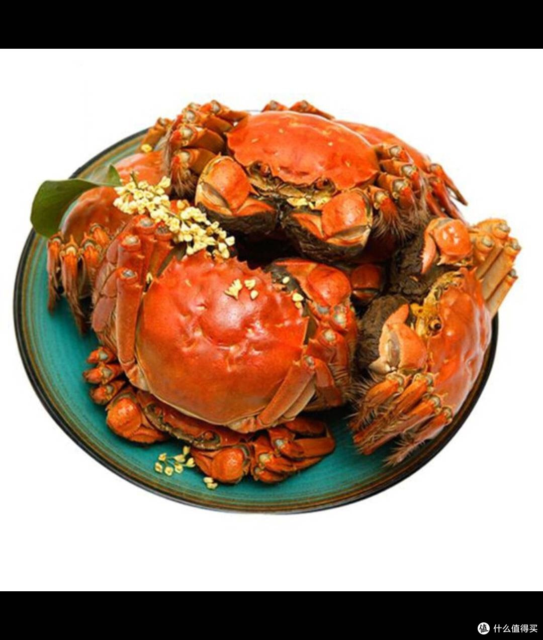 中秋礼选大闸蟹！鲜活全母蟹挑选与烹饪指南