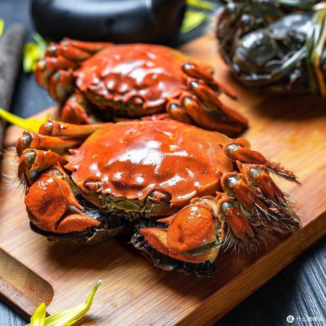 中秋礼选大闸蟹！鲜活全母蟹挑选与烹饪指南