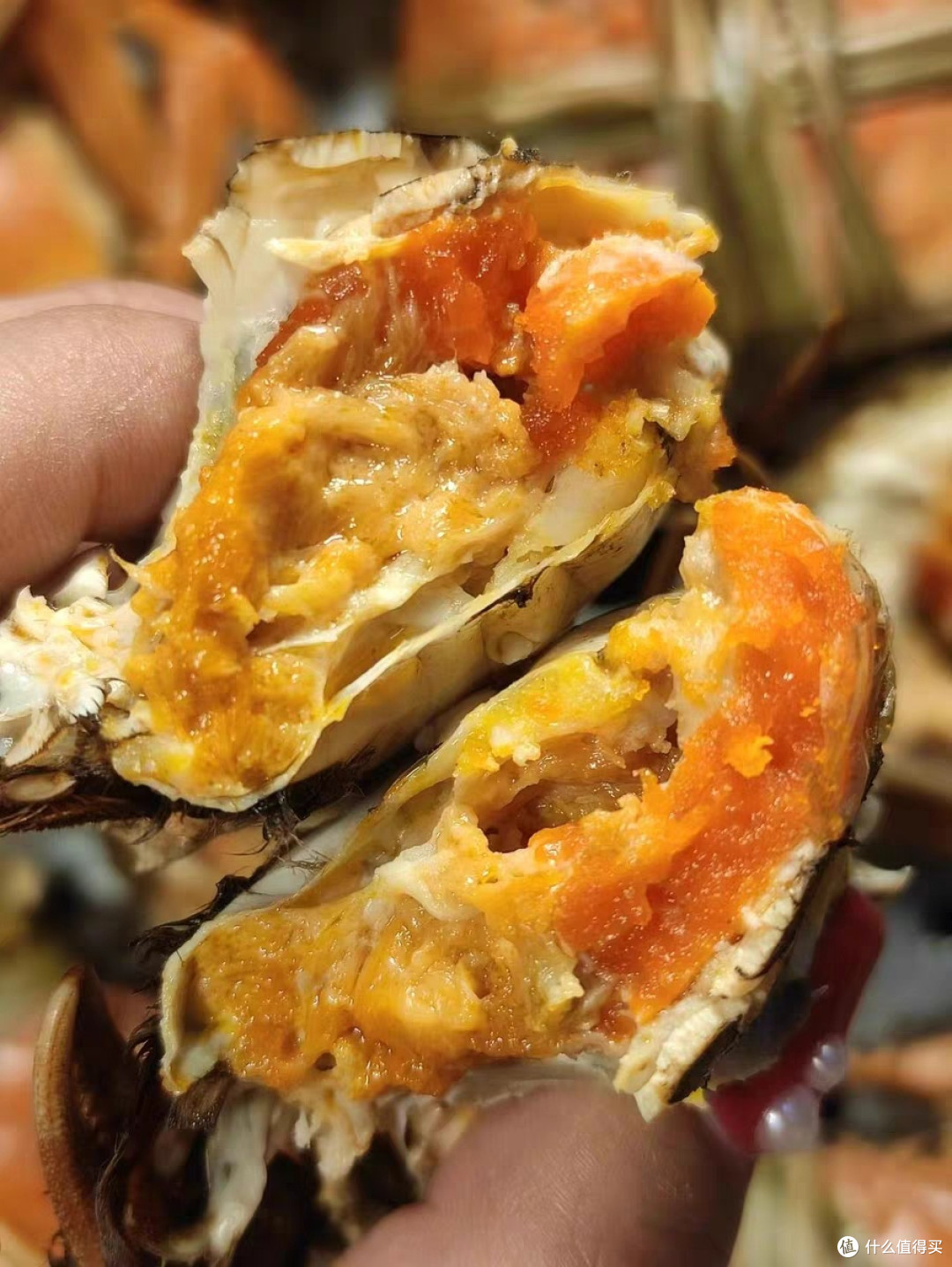 中秋礼选大闸蟹！鲜活全母蟹挑选与烹饪指南