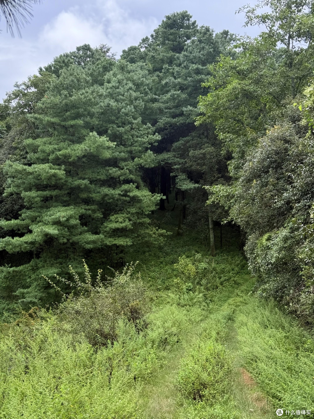 就在昆明，没吃过苦的周末可以来爬这座山