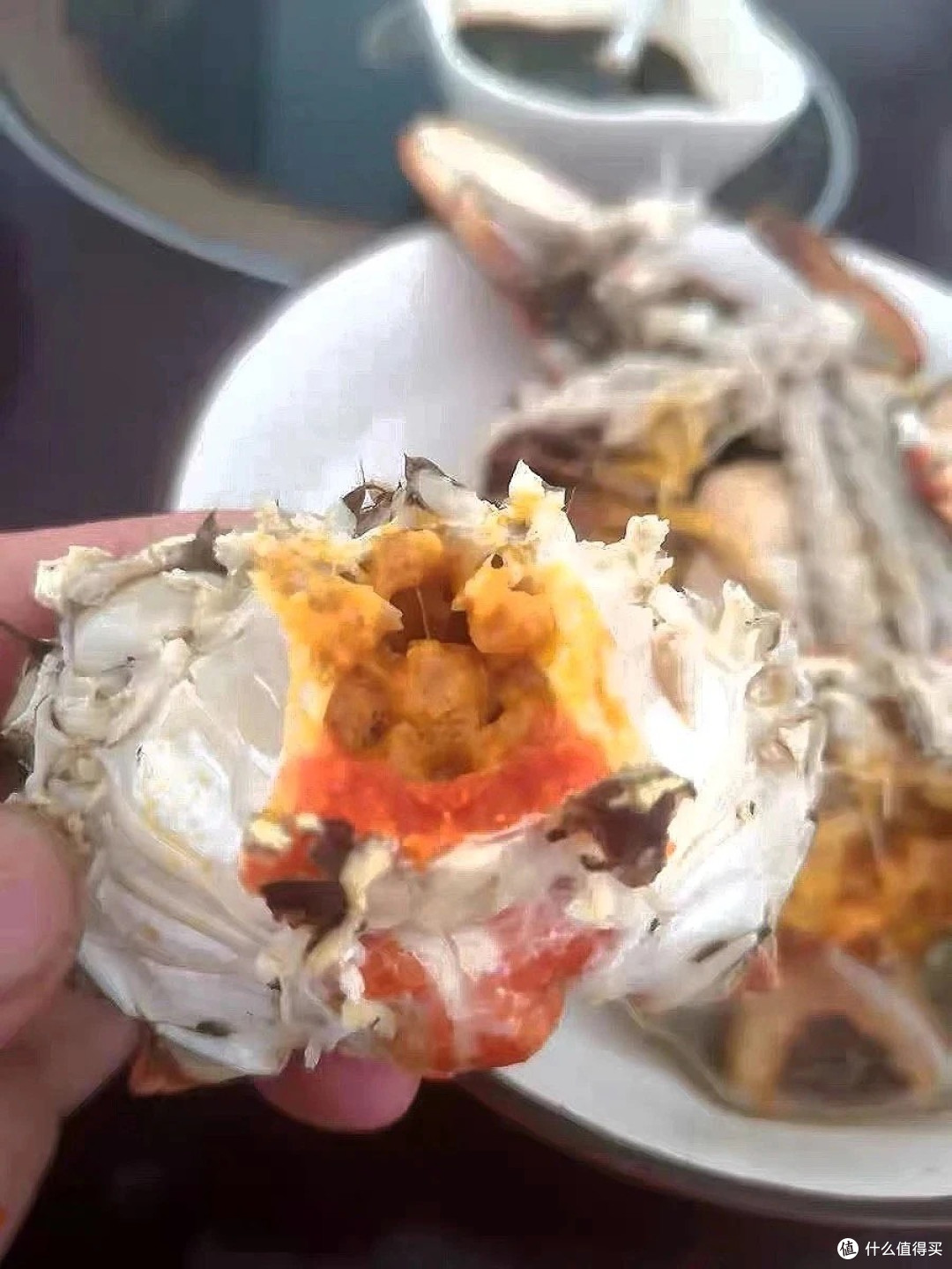 太湖金秋开湖记:蟹香里的江南秋韵